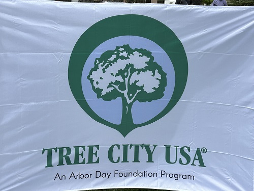 Canon City Named Tree City USA for 44th Year